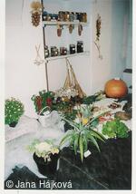 Podzimní výstava - pořádá Klub zahradkářů Trnávka